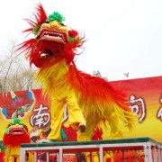 国家级非物质文化遗产河北沧州舞狮（北狮）表演